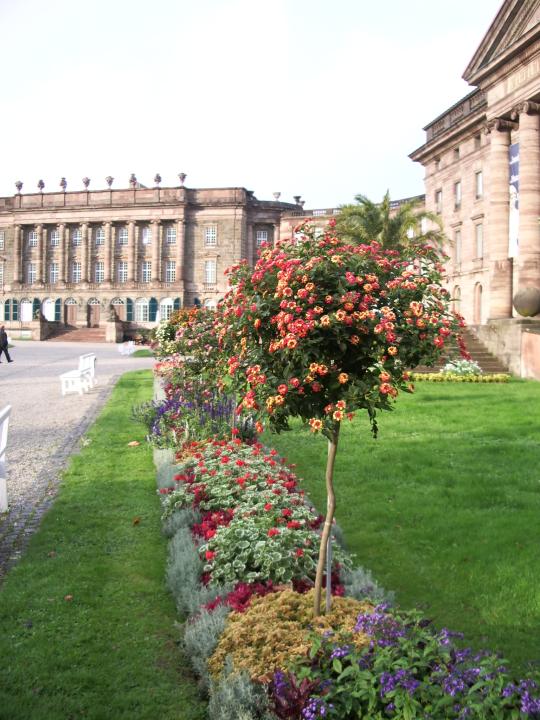 02.10.2005 17-31-43_0026 